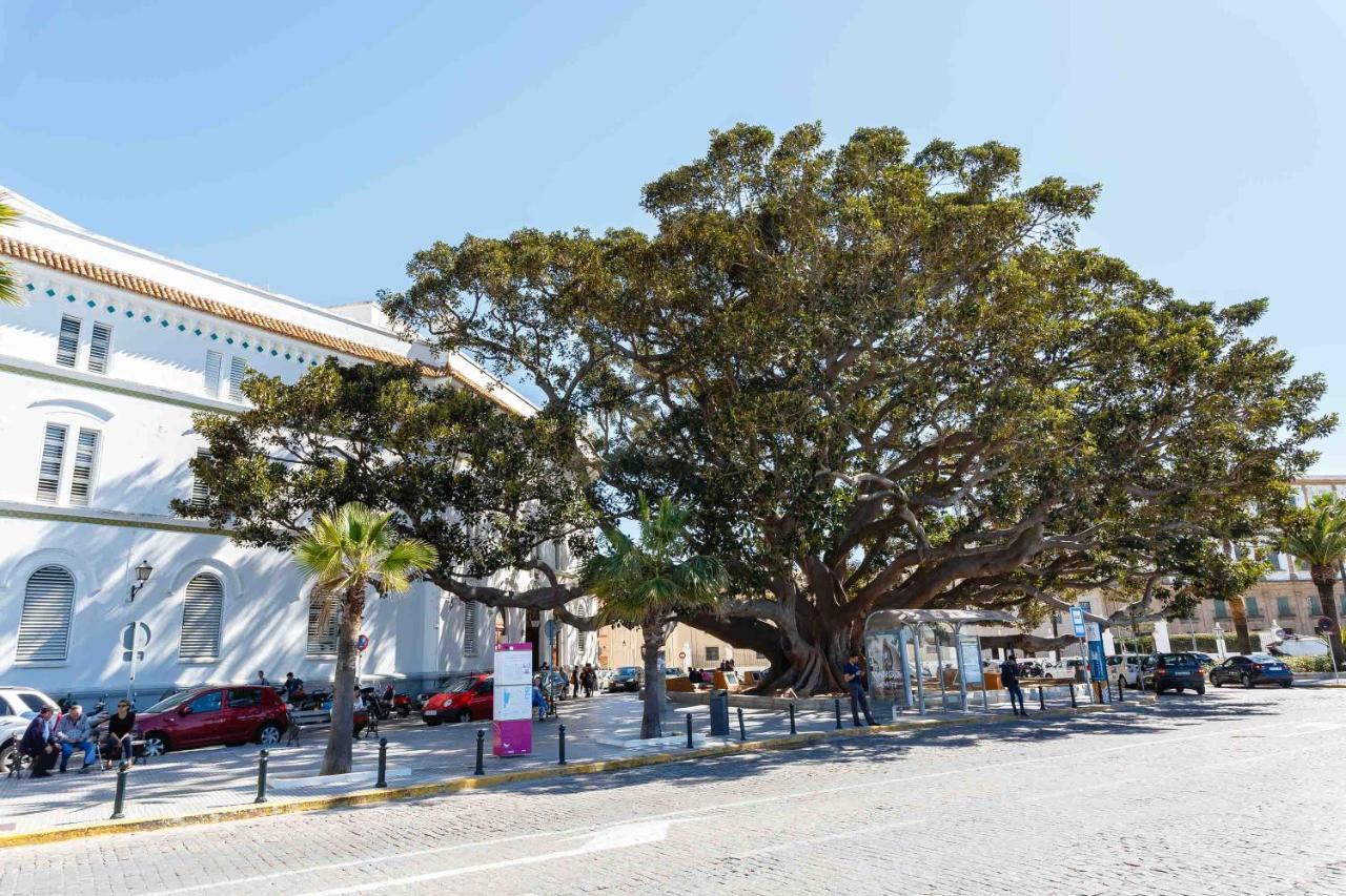 El Tesoro De La Caleta By Cadiz4Rentals 외부 사진